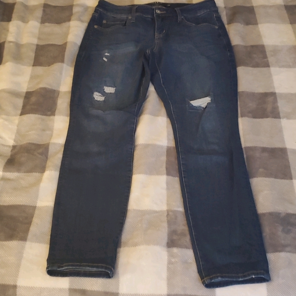 TORRID Size 10R skinny jeans